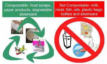 Composting at Home: The Green and Brown Alternative Example signage for home separation.