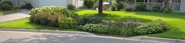 Introduction to Rain Gardens & Using this Guide What is a Rain Garden? A rain garden is a shallow dish-like depression in the ground that is planted with watertolerant vegetation.