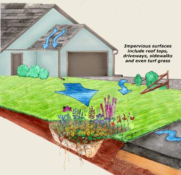 Planning Your Rain Garden Observe your yard s landscape Are there low spots? Where does rainwater naturally flow?