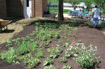 Maintaining the Rain Garden Weeding will be needed the first couple of years. Remove by hand only those plants you are certain are weeds. Try to get out all the roots of the weedy plants.