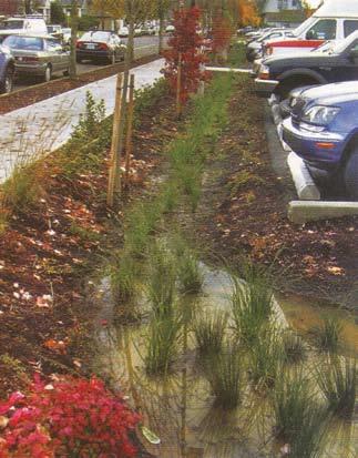 How a Rain Garden Works Flow Berm to hold water during heavy rains Soil amendments to allow water to percolate into ground Size of