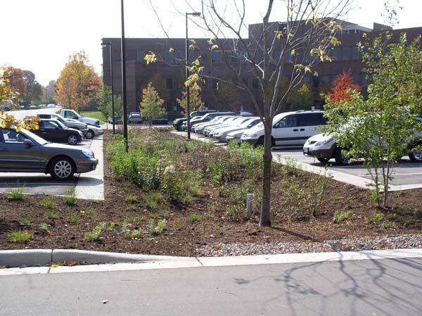 Rain Garden Plantings and Maintenance The costs related to the planting and maintenance of the rain garden involved the initial planting and the application of mulch.