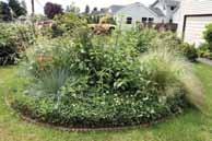 Confirm the best locations for the inflow and overflow. 3. Lay out the proposed plan for your rain garden using rope, string, ground paint, and/or builder's chalk.