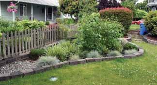 Edging will help separate the rain garden from other surrounding landscapes and reduce encroachment of lawn into the rain garden.