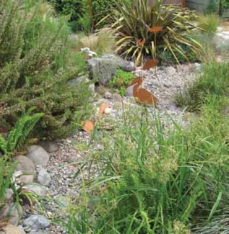 54 Plant 3 suggested plants for the sunny area of the rain garden on page 53 ZONE 1 Emergents Herbaceous Perennials Deciduous Shrubs Dagger-leaf rush (Juncus ensifolius) and taper-tipped rush (Juncus