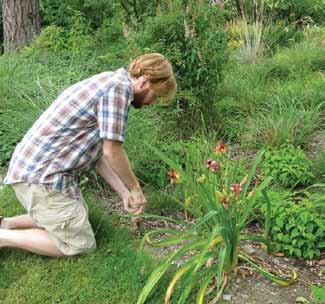 Maintain 4 59 David Hymel Erica Guttman Weeding More weeding may be needed during the first 1 to 2 years after your rain garden is installed, until plants become established and start to knit
