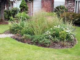 fertilizing will be needed. Check Your Berm If you have a berm around your rain garden, check it for settling, and add and compact soil as needed.