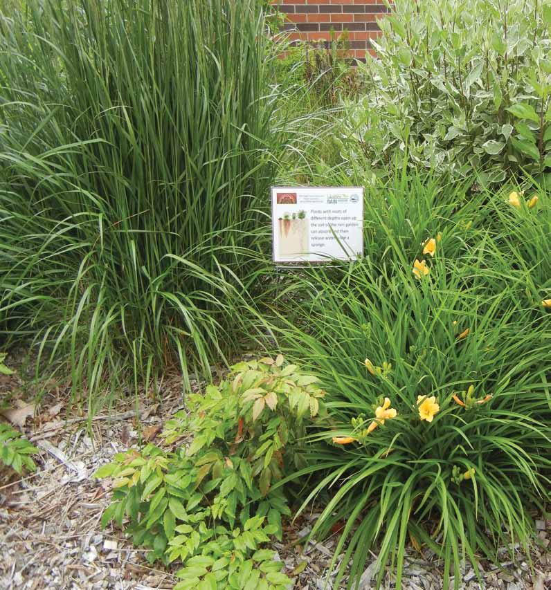 The following appendices to the Rain Garden Handbook for Western Washington include reference materials that