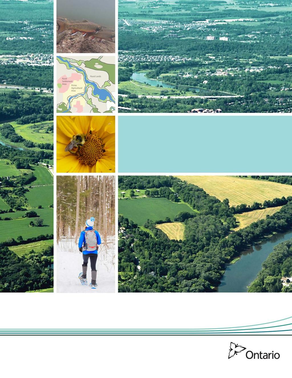THE REGIONAL NATURAL HERITAGE SYSTEM FOR THE GROWTH PLAN FOR