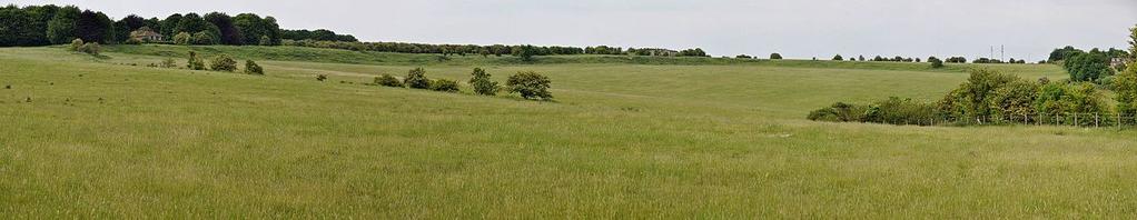 Other timber circles are known in the landscape at Airman s Corner and on Boscombe Down. A stone circle is known beside the River Avon in the terminal of the Avenue.