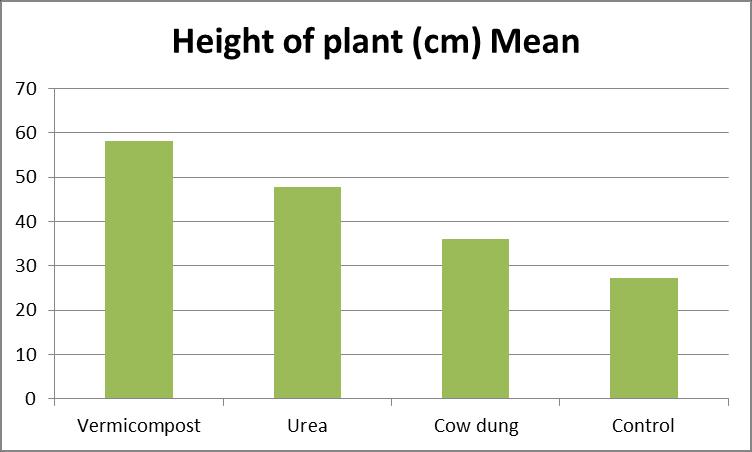 Fig.1 Average height