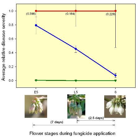 Pre-infection activity against mummification of fungicides applied before bloom Greenhouse experiments Fungicide applied at early 5, late 5, and stage 6