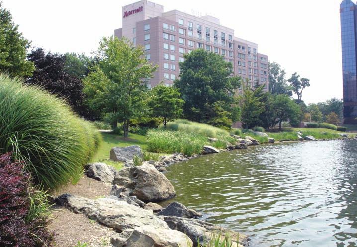 This storm water pond with extensive shoreline planting filters runoff and creates an aesthetically pleasing place for people.