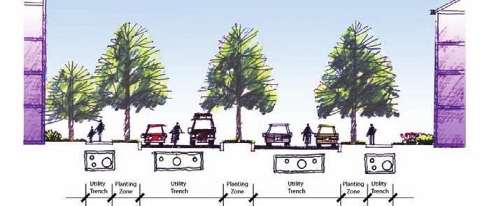 Below-ground utilities reduce visual clutter and eliminate conflicts between trees and overhead utility lines.