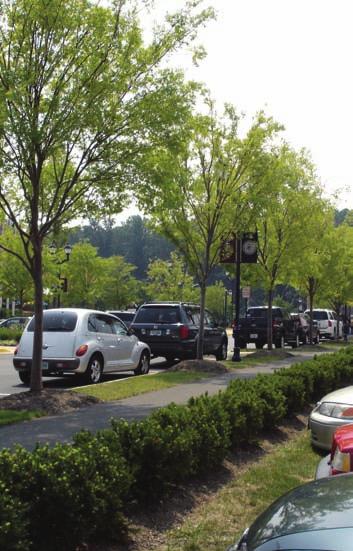 Rows of street trees and hedges screen parking and create a safer environment for pedestrians. balance of space.