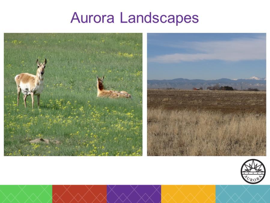 The natural ecosystem of Aurora is that of the high plains/prairie. This ecosystem is primarily made of short-grass species. The climate is hot in the summer and highly variable in the winter.