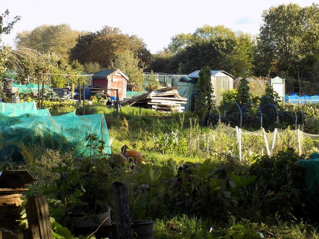 3.1.12 The Ward has a reasonable provision of allotments, but the Open Spaces Study shows current provision is slightly less than the requirements of the City Allotment Strategy.
