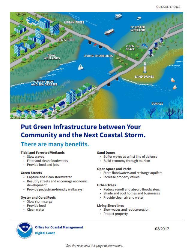 Natural Infrastructure is a multi-benefit solution Buffer wave action and storm surge Store floodwaters, recharge aquifers Reduce runoff, improve water quality and clarity Stabilize