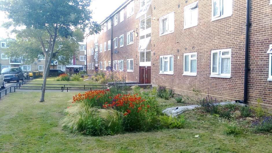 Heron Court Rain Garden, London SuDS used Rain Gardens Benefits Increased infiltration of water reduced quantity of runoff and improved quality Increased amenity value, social cohesion and wellbeing