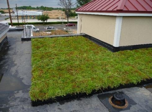 Green roofs Water