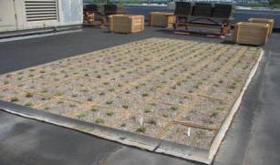 The Green Paks system measures 800 square feet. It cost about $22 to $28 per square foot to furnish and install. Its dry weight is 12 lbs. per square foot and its corresponding wet weight is 18 lbs.