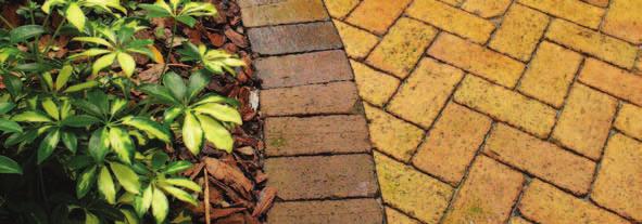 Clay pavers are particularly beneficial for streetscapes because their color never fades, as concrete products can.
