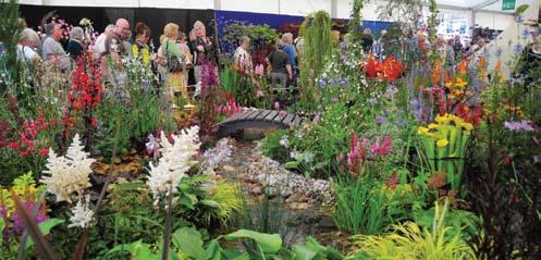 uk RHS Britain in Bloom Gold Award 2006 Entente Florale Gold 2007 Communities in Bloom 2007 Shrewsbury It s not just black and white D Shrewsbury Shopping on t be fooled by such an illustrious