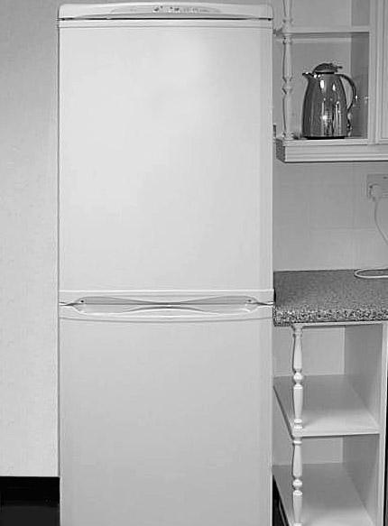 FRIDGE FREEZER - MODELS RFA17, RFM17, RFA16, RFM16 INSTRUCTIONS FOR INSTALLATION & USE GETTING STARTED: To ensure that your