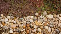 The Urbanscape Sedum-mix blanket must cover the total area of Urbanscape Green Roll Substrate.