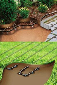 for none Drip irrigation to