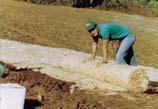 Mulching Provide seeds with optimum growth environment Blown straw or wood fiber mulch ECBs retain heat & moisture to accelerate
