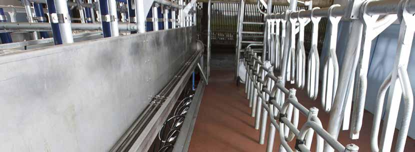 DeLaval P2100 - your parlour can do more DeLaval P2100 extra strong components Deck flush nozzles for a clean working place The sequence gate has a critical role in cow traffic performance, so it has
