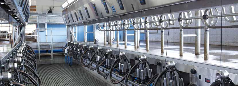 High throughput Expertly planned for short walking distances and very good cow positioning, DeLaval parallel parlour P2100 enables high throughput with fast milking processes and quick changes from