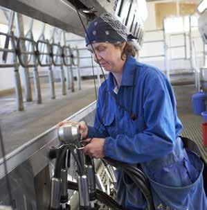 A fast start You can speed up cluster attachment with DeLaval ComfortStart just lift the cluster and attach it: no need to push any buttons.