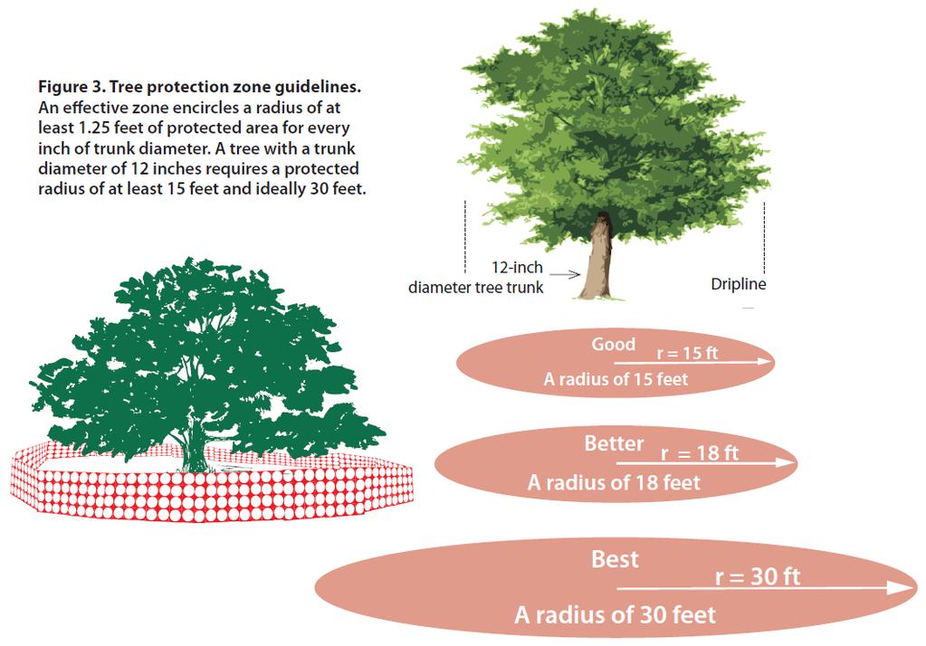 APPENDIX E - Guide for Landscaping E-1 Guide for Protecting Existing Trees 307 provides for the retention and protection of large trees when land is developed.