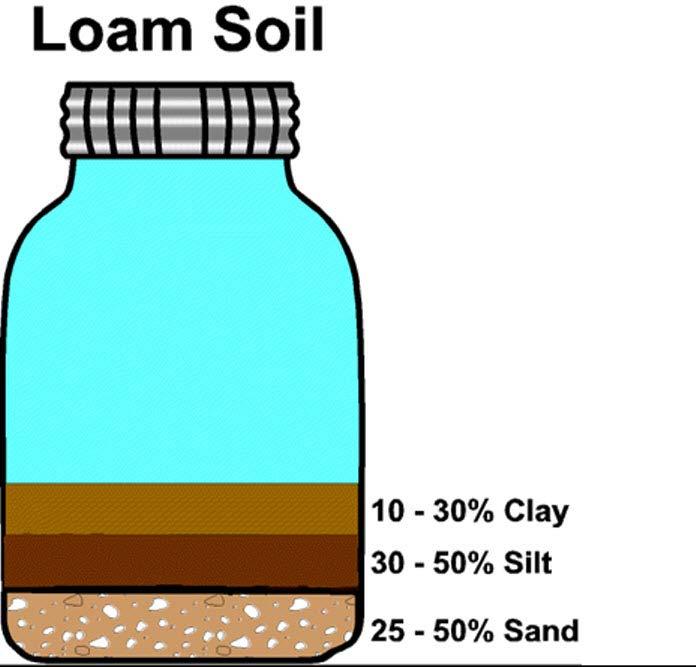 Loams: Roughly of clay, silt, and sand.