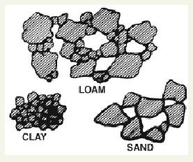 Soil Texture Loamy sand Sandy loam Loam Silty