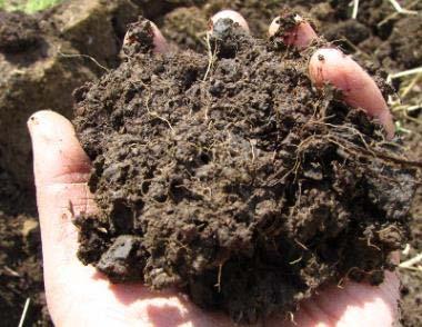 Soil Organic Matter Serves as energy source (food)