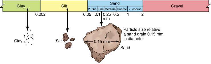 Physical Property: Texture Texture is determined by its % sand, silt, and clay.