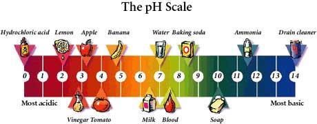 Chemical Property: Acidity Most soil ph is 4-8. Plants are happiest at 6-7. Plants are affected by soil ph.