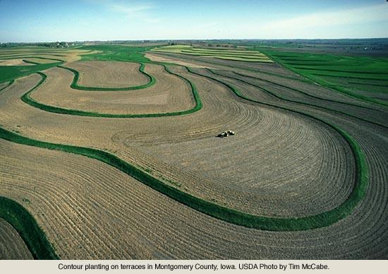 Preventing Soil Erosion Agricultural: 10% of the worlds