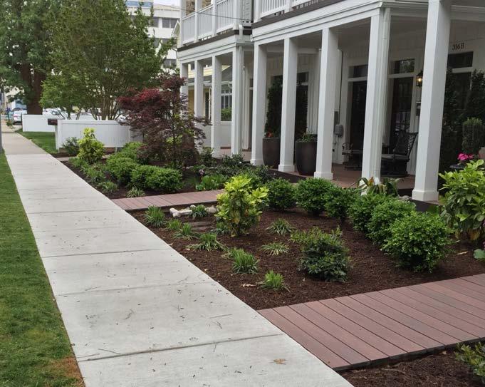 PLANTINGS & LANDSCAPING Landscaping along street fronts should frame, soften, and embellish the quality of the residential environment.