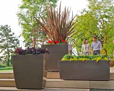 Planters are permitted in the Furnishing Zone to ensure the Clear Path Zone is maintained and pedestrian areas are further defined; In retail areas, the Marketing Zone may contain movable planters;
