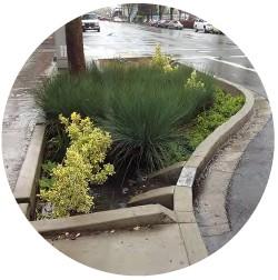 periods]; and Explore the opportunity to use corner bump-outs and planting areas that utilize trenches as bioretention facilities collecting, cleansing and infiltrating stormwater runoff from the