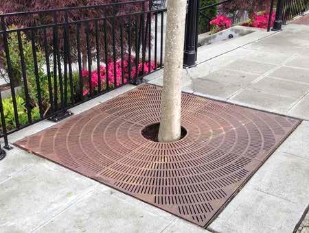 Where applicable, tree grates shall match tree drains.