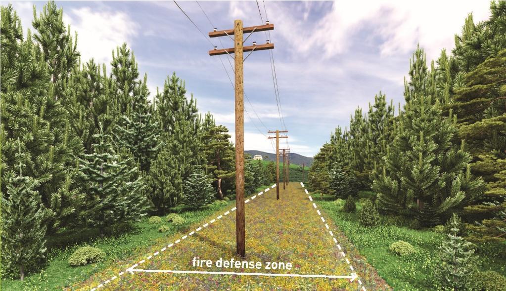 Fire Defense Zones Fire defense zones near or under power lines can help reduce wildfire risks, improve access