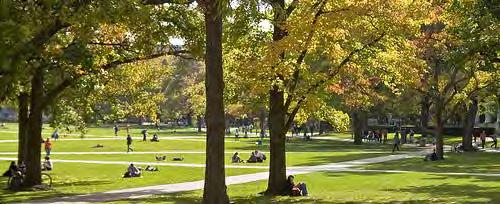 central green space on HSC Landscape should be simple, open grass