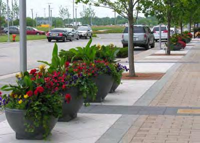 Site Amenities Standards Planters and Pots Clean and simple style should be used, free of ornamentation Used to add another layer of texture and