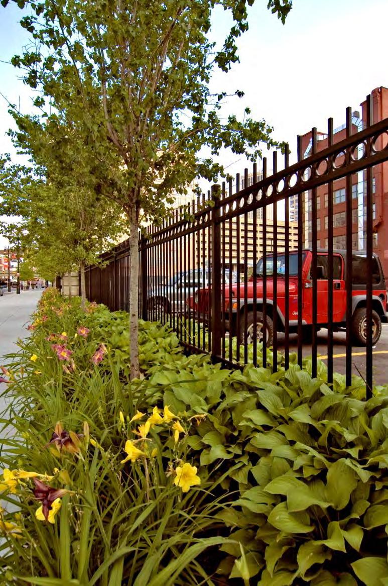 Site Amenities Standards Fences and Gates For sites that need to be secure when not in use, but visually appealing High