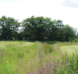 Land south of Daventry Road, Southam Environment & Sustainability The principal aim is to create a sustainable development.